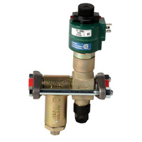 13mm Solenoid Valve with Strainer and Flanges