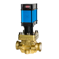 Motorised Control Valve 