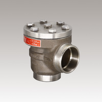 SS Angle Filter Valve 