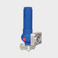 25mm Safety Valve