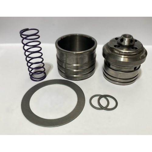 2-1/2" Piston Kit for HCK5DW