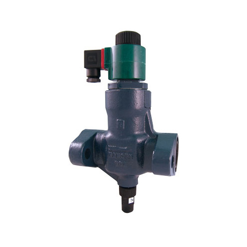 Solenoid Valve with Strainer and Flanges