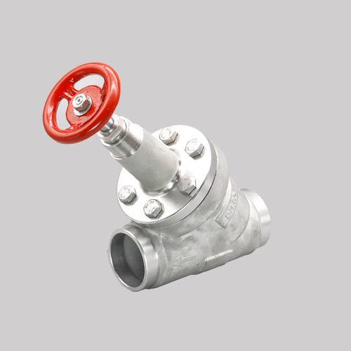 SS 65mm BW Globe Stop Valve